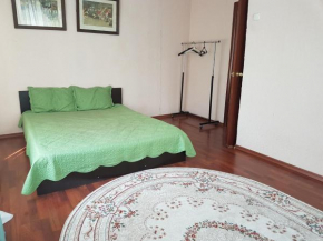 Apartment on Vrachebnyy